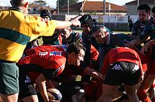 B-annonaynimes21.JPG B-annonaynimes21.JPG