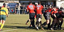 B-annonaynimes22.JPG B-annonaynimes22.JPG