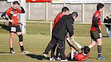 B-annonaynimes24.JPG B-annonaynimes24.JPG