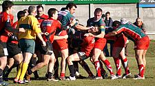 B-annonaynimes36.JPG B-annonaynimes36.JPG