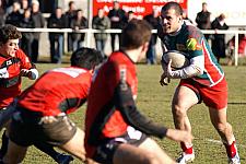 B-annonaynimes38.JPG B-annonaynimes38.JPG