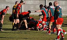 B-annonaynimes47.JPG B-annonaynimes47.JPG