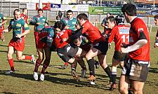 B-annonaynimes8.JPG B-annonaynimes8.JPG