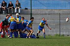 B-straphaelnimes1.JPG B-straphaelnimes1.JPG