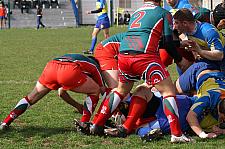 B-straphaelnimes11.JPG B-straphaelnimes11.JPG