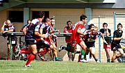 B-NRoyans011.JPG B-NRoyans011.JPG