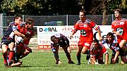 B-NRoyans025.JPG B-NRoyans025.JPG