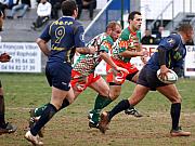 B-carfnimes44.jpg B-carfnimes44.jpg