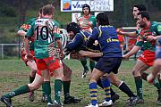 B-carfnimes50.jpg B-carfnimes50.jpg