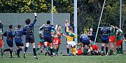 B-carfnimes61.jpg B-carfnimes61.jpg