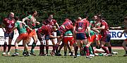 B-grassenimes03.jpg B-grassenimes03.jpg