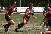 B-grassenimes17.jpg B-grassenimes17.jpg