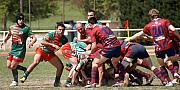 B-grassenimes54.jpg B-grassenimes54.jpg