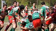 B-grassenimes55.jpg B-grassenimes55.jpg