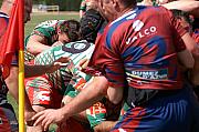 B-grassenimes57.jpg B-grassenimes57.jpg