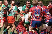 B-grassenimes75.jpg B-grassenimes75.jpg