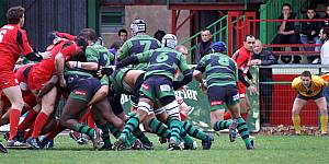 NBeda-5.JPG NBeda-5.JPG