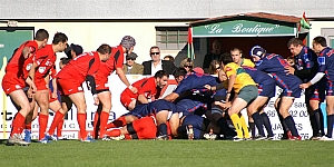 NChato-15.JPG NChato-15.JPG