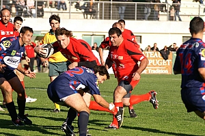 NChato-39.JPG NChato-39.JPG
