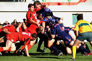 NChato-4.JPG NChato-4.JPG