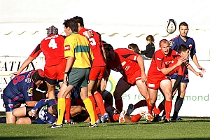 NChato-41.JPG NChato-41.JPG