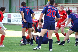 NChato-50.JPG NChato-50.JPG