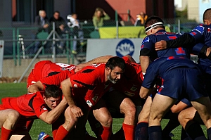 NChato-6.JPG NChato-6.JPG
