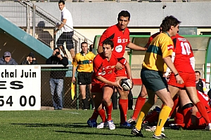 NChato-7.JPG NChato-7.JPG