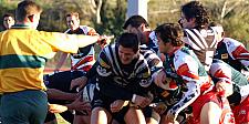 corcnimes14.JPG corcnimes14.JPG