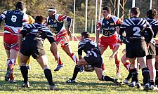 corcnimes15.JPG corcnimes15.JPG