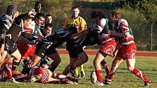 corcnimes19.JPG corcnimes19.JPG