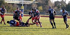 corcnimes24.JPG corcnimes24.JPG