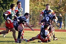corcnimes28.JPG corcnimes28.JPG