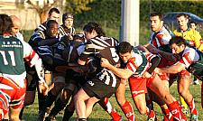 corcnimes29.JPG corcnimes29.JPG