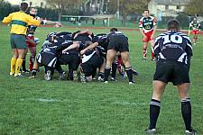 corcnimes56.JPG corcnimes56.JPG