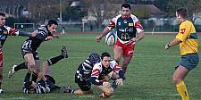 corcnimes61.JPG corcnimes61.JPG