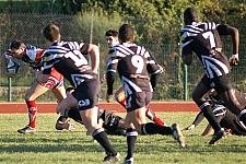 corcnimes7.JPG corcnimes7.JPG