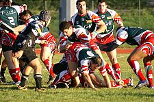 corcnimes9.JPG corcnimes9.JPG