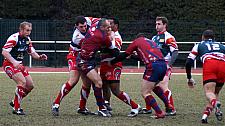 grassenimes11.JPG grassenimes11.JPG