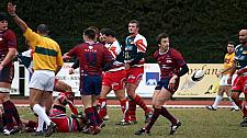 grassenimes15.JPG grassenimes15.JPG