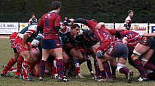 grassenimes16.JPG grassenimes16.JPG