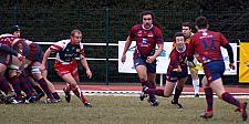grassenimes19.JPG grassenimes19.JPG
