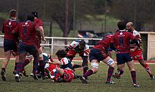 grassenimes28.JPG grassenimes28.JPG