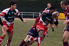 grassenimes31.JPG grassenimes31.JPG