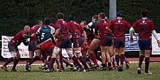grassenimes36.JPG grassenimes36.JPG
