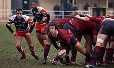 grassenimes47.JPG grassenimes47.JPG