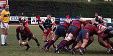 grassenimes50.JPG grassenimes50.JPG