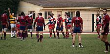 grassenimes53.JPG grassenimes53.JPG