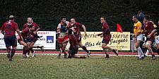 grassenimes56.JPG grassenimes56.JPG