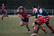 grassenimes57.JPG grassenimes57.JPG